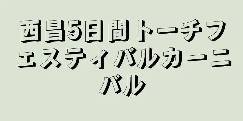 西昌5日間トーチフェスティバルカーニバル