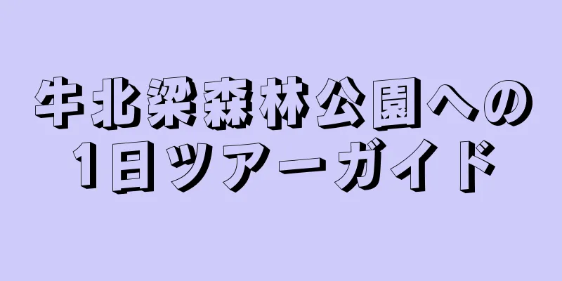 牛北梁森林公園への1日ツアーガイド