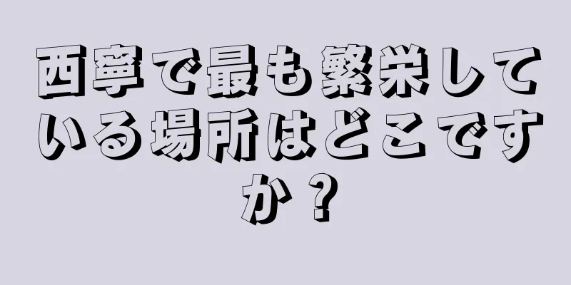 西寧で最も繁栄している場所はどこですか？