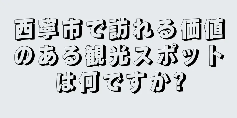 西寧市で訪れる価値のある観光スポットは何ですか?