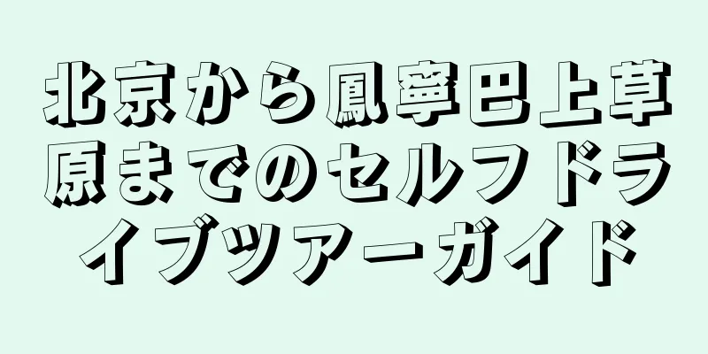 北京から鳳寧巴上草原までのセルフドライブツアーガイド