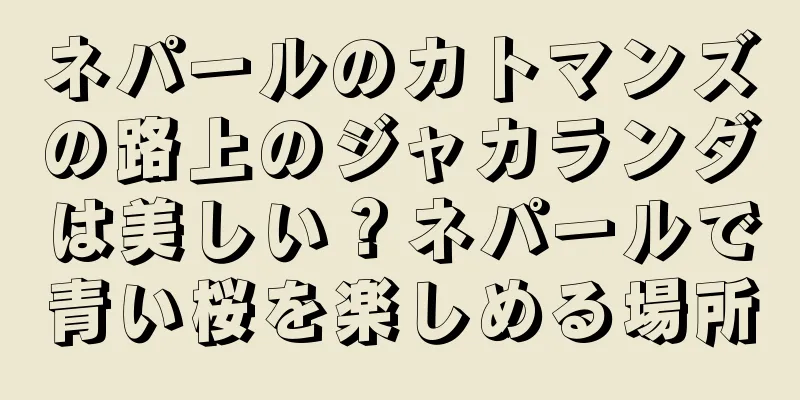 ネパールのカトマンズの路上のジャカランダは美しい？ネパールで青い桜を楽しめる場所