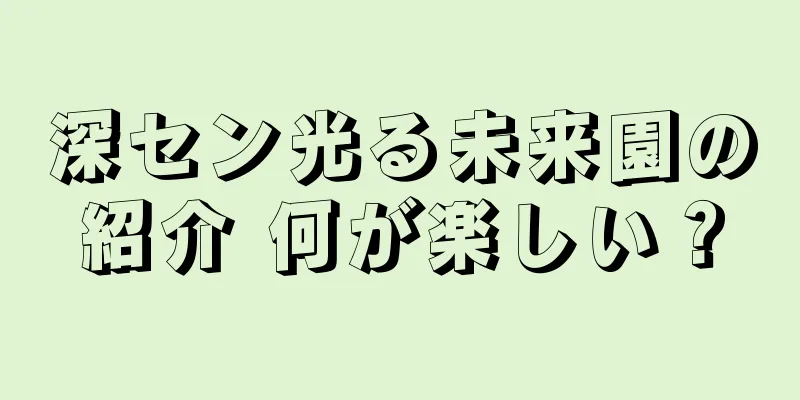 深セン光る未来園の紹介 何が楽しい？