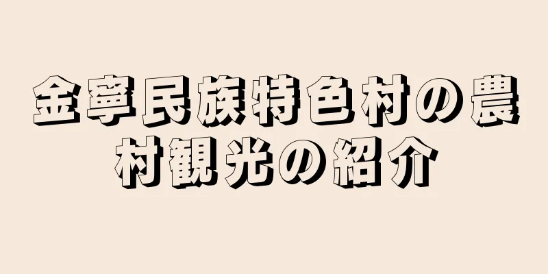 金寧民族特色村の農村観光の紹介