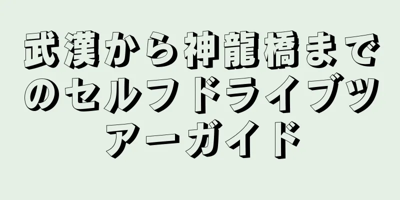 武漢から神龍橋までのセルフドライブツアーガイド