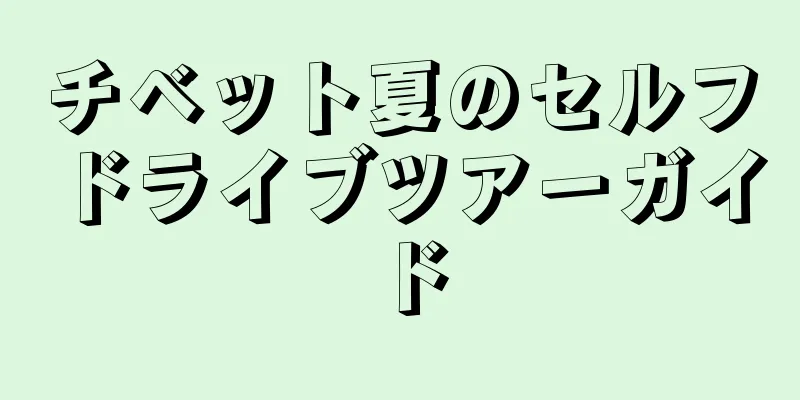 チベット夏のセルフドライブツアーガイド