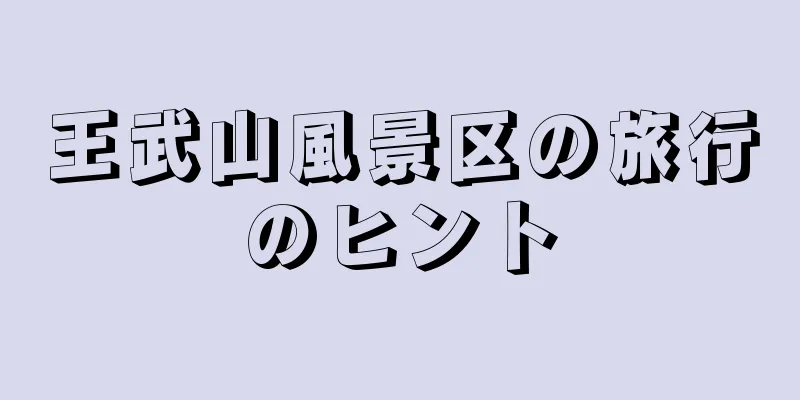 王武山風景区の旅行のヒント