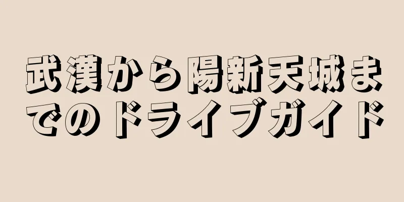 武漢から陽新天城までのドライブガイド