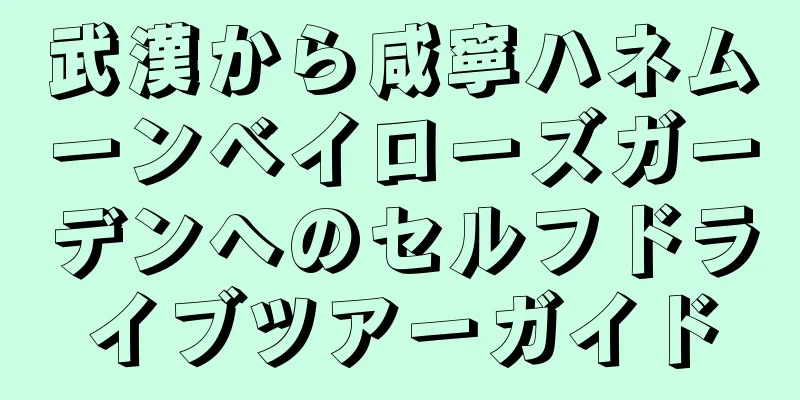 武漢から咸寧ハネムーンベイローズガーデンへのセルフドライブツアーガイド