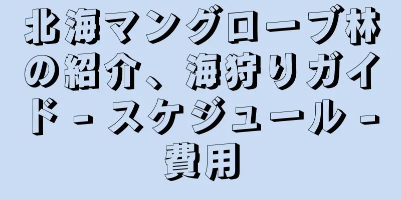 北海マングローブ林の紹介、海狩りガイド - スケジュール - 費用