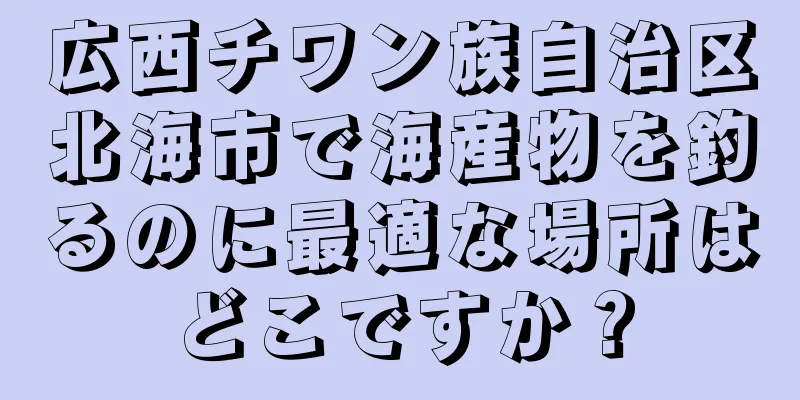 広西チワン族自治区北海市で海産物を釣るのに最適な場所はどこですか？