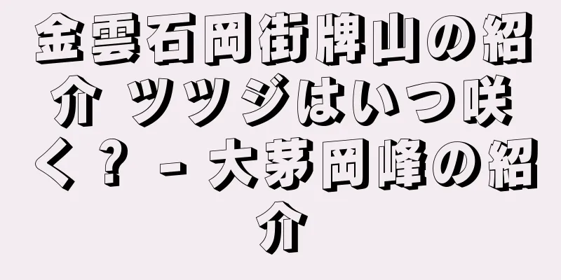 金雲石岡街牌山の紹介 ツツジはいつ咲く？ - 大茅岡峰の紹介
