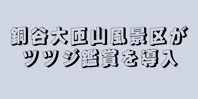 銅谷大匝山風景区がツツジ鑑賞を導入