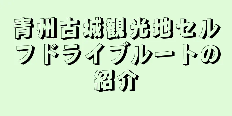 青州古城観光地セルフドライブルートの紹介