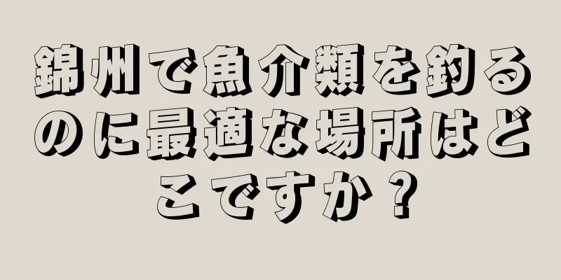 錦州で魚介類を釣るのに最適な場所はどこですか？