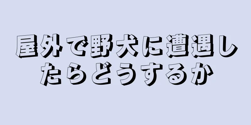 屋外で野犬に遭遇したらどうするか