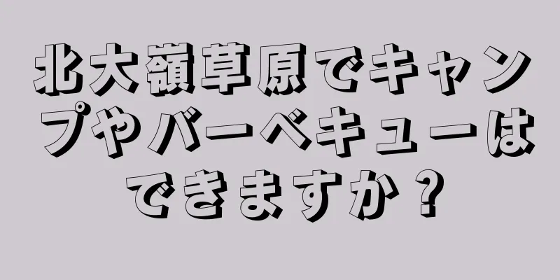 北大嶺草原でキャンプやバーベキューはできますか？