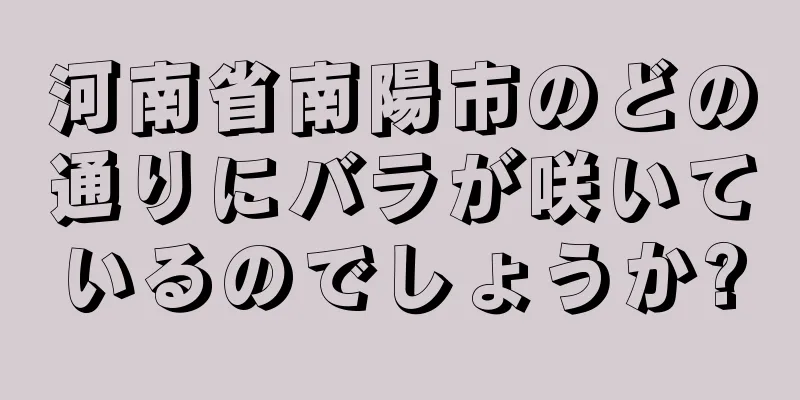 河南省南陽市のどの通りにバラが咲いているのでしょうか?
