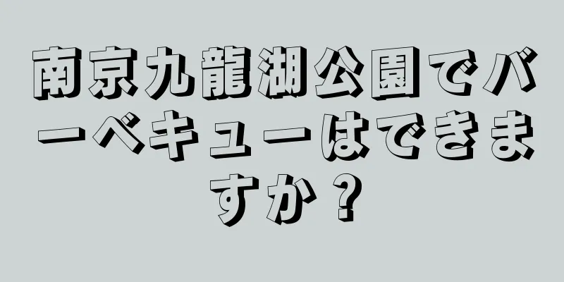 南京九龍湖公園でバーベキューはできますか？