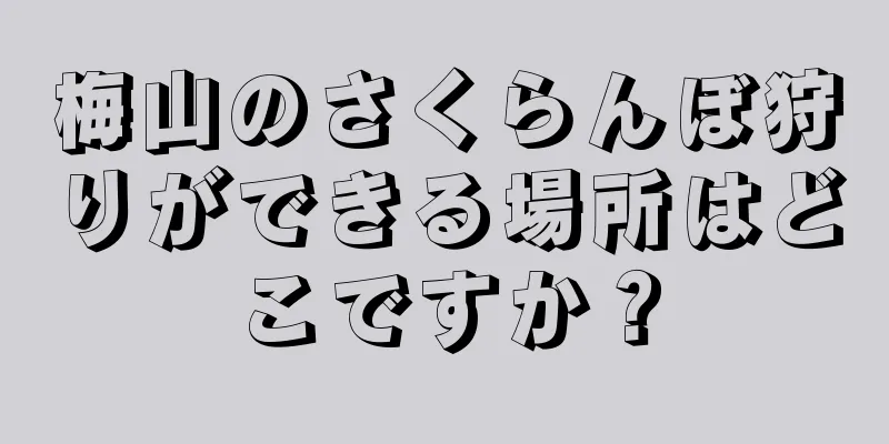 梅山のさくらんぼ狩りができる場所はどこですか？