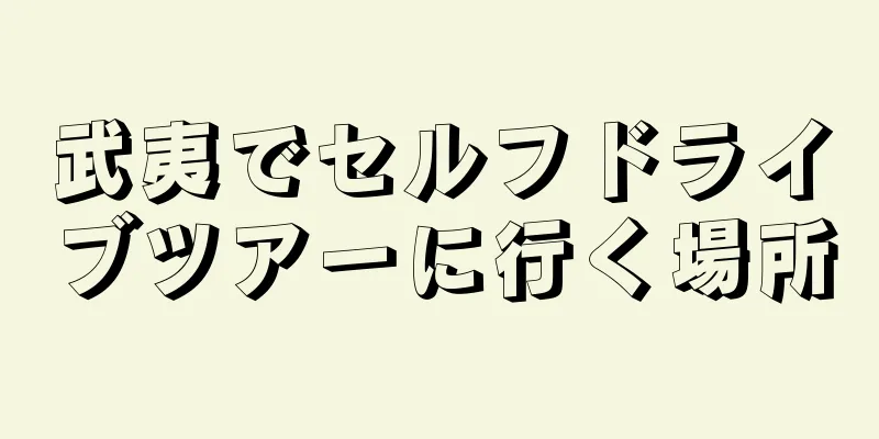 武夷でセルフドライブツアーに行く場所