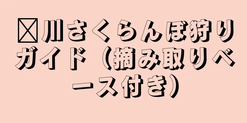 汶川さくらんぼ狩りガイド（摘み取りベース付き）