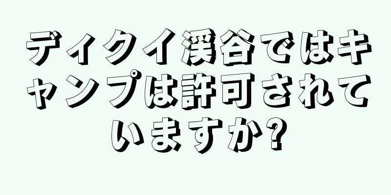 ディクイ渓谷ではキャンプは許可されていますか?