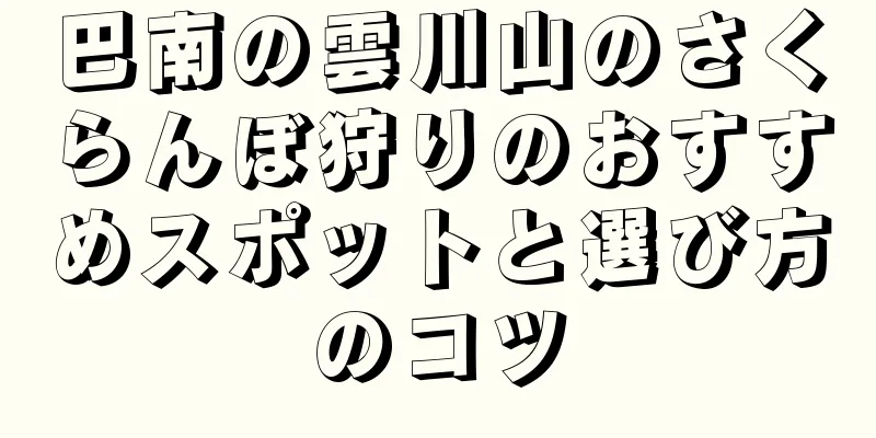巴南の雲川山のさくらんぼ狩りのおすすめスポットと選び方のコツ
