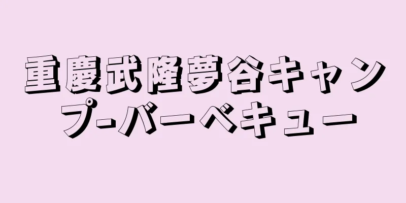 重慶武隆夢谷キャンプ-バーベキュー