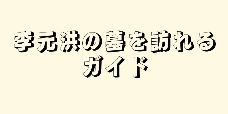 李元洪の墓を訪れるガイド