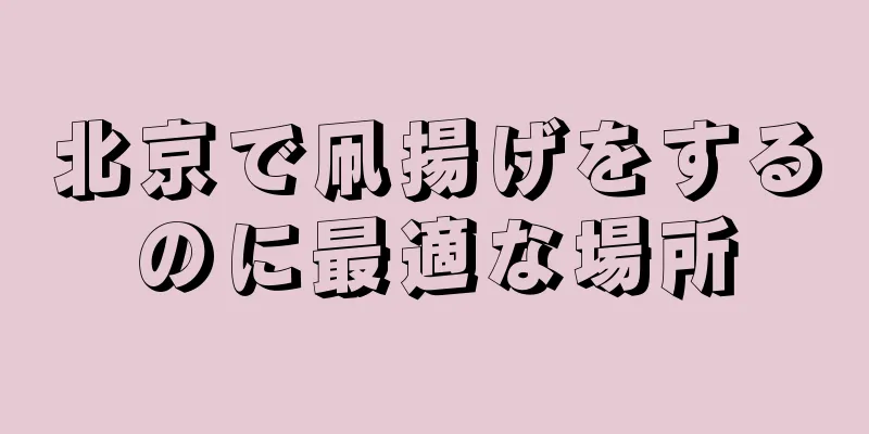 北京で凧揚げをするのに最適な場所