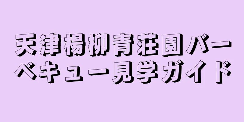 天津楊柳青荘園バーベキュー見学ガイド