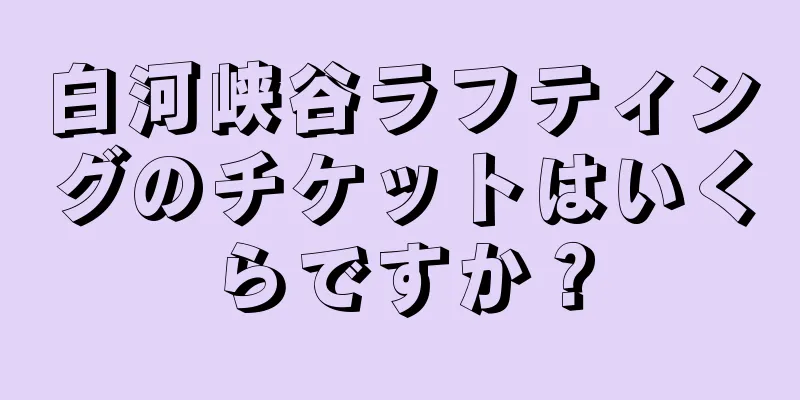 白河峡谷ラフティングのチケットはいくらですか？