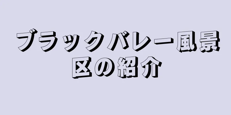 ブラックバレー風景区の紹介