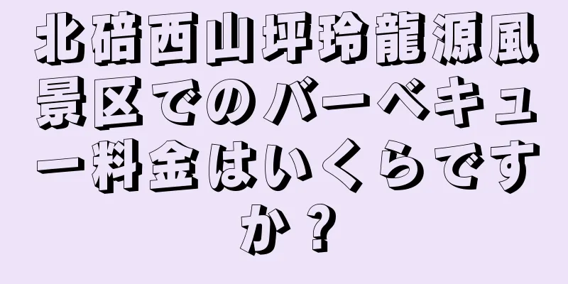 北碚西山坪玲龍源風景区でのバーベキュー料金はいくらですか？