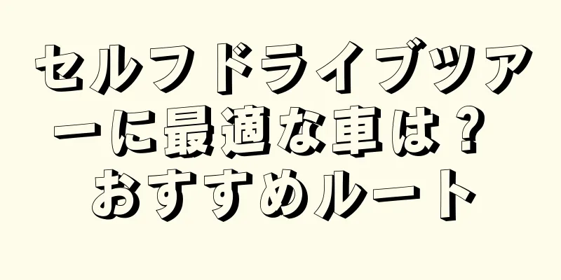 セルフドライブツアーに最適な車は？ おすすめルート