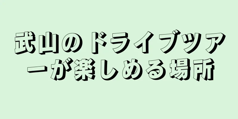 武山のドライブツアーが楽しめる場所