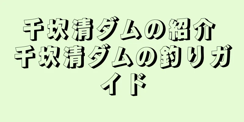 千坎清ダムの紹介 千坎清ダムの釣りガイド