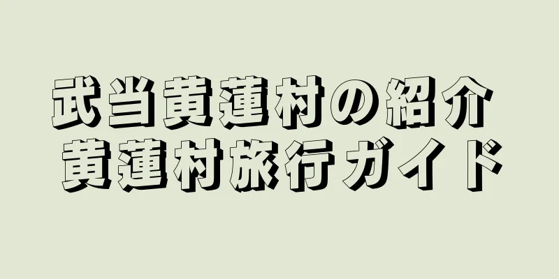 武当黄蓮村の紹介 黄蓮村旅行ガイド