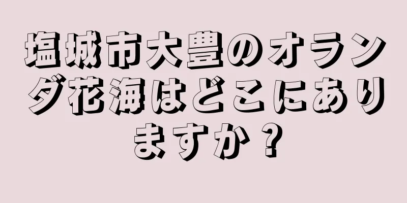 塩城市大豊のオランダ花海はどこにありますか？