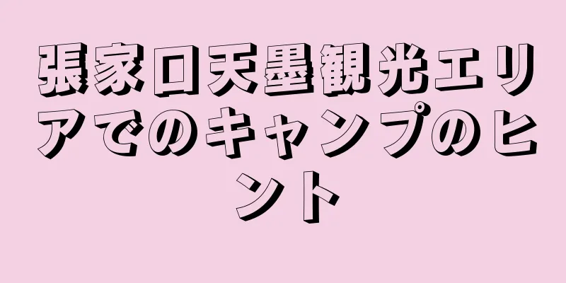 張家口天墨観光エリアでのキャンプのヒント