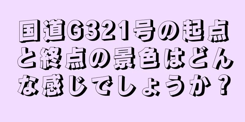 国道G321号の起点と終点の景色はどんな感じでしょうか？