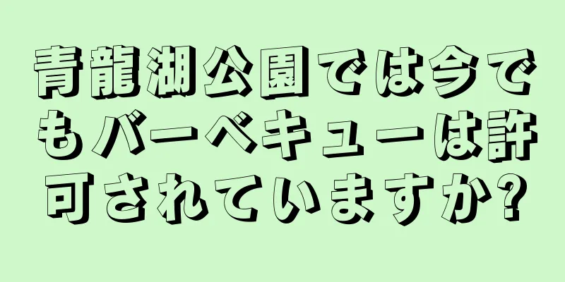青龍湖公園では今でもバーベキューは許可されていますか?