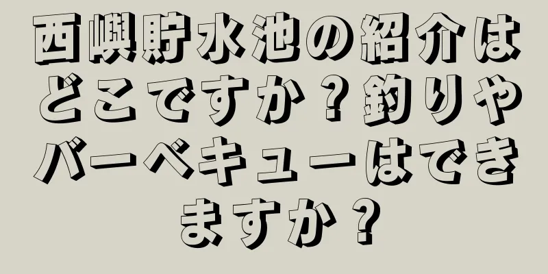 西嶼貯水池の紹介はどこですか？釣りやバーベキューはできますか？