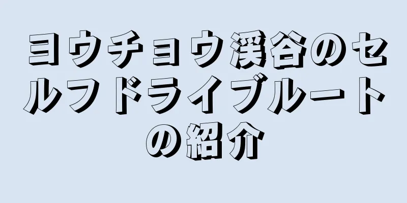 ヨウチョウ渓谷のセルフドライブルートの紹介