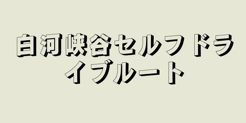 白河峡谷セルフドライブルート