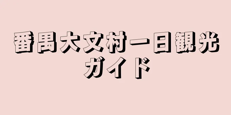 番禺大文村一日観光ガイド