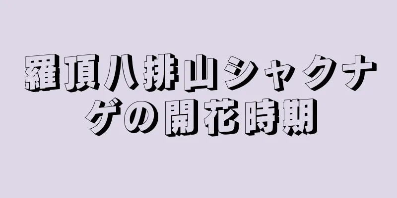 羅頂八排山シャクナゲの開花時期