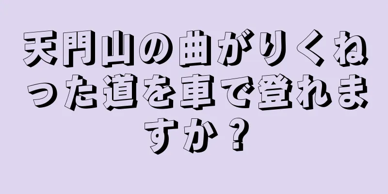 天門山の曲がりくねった道を車で登れますか？