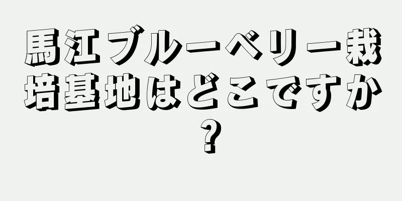 馬江ブルーベリー栽培基地はどこですか？